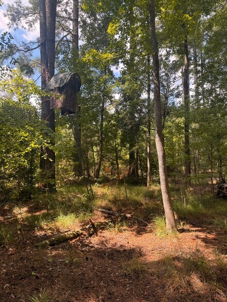 More Photos Of 333 Samuel Dr, Springfield Land For Sale