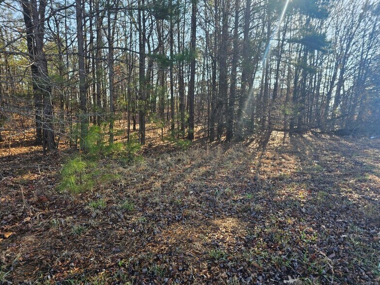 More Photos Of 5501 Radford Rd, Flowery Branch Land For Sale