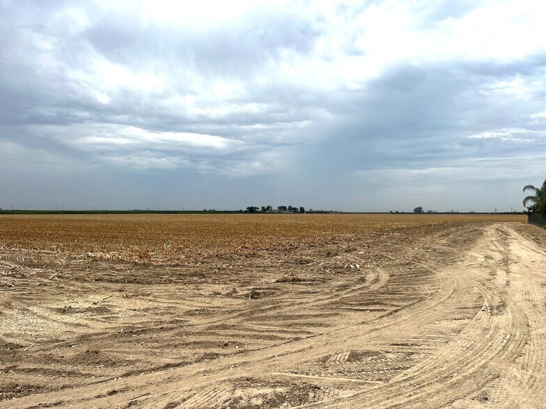 More Photos Of I Drive @ Avenue 196, Tulare Land For Sale