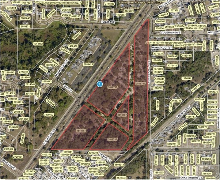 Primary Photo Of SR19 & Summerall Ave, Tavares Land For Sale