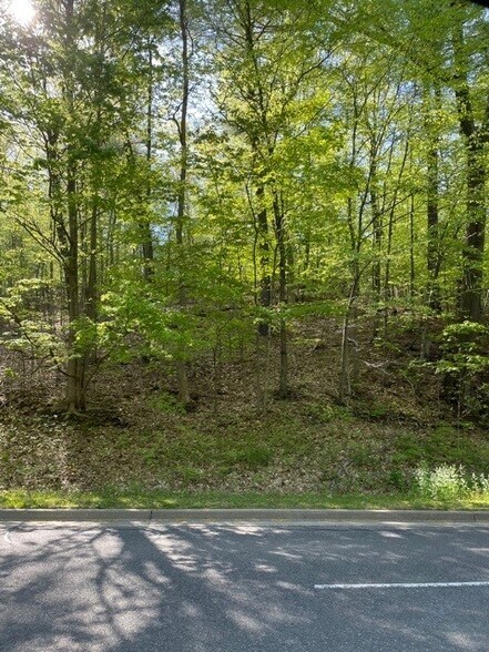 More Photos Of 270 Glenwood Rd, Dickinson Township Land For Sale