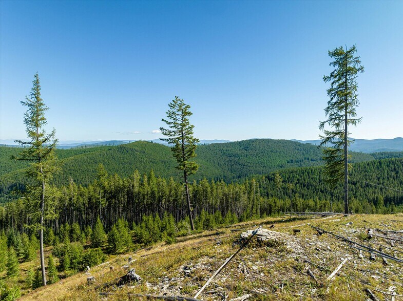 More Photos Of Nhn Logan Creek Road, Kila Land For Sale