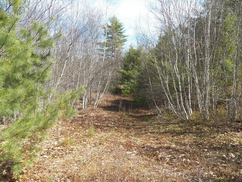 More Photos Of 988 Dover Rd, Epsom Land For Sale