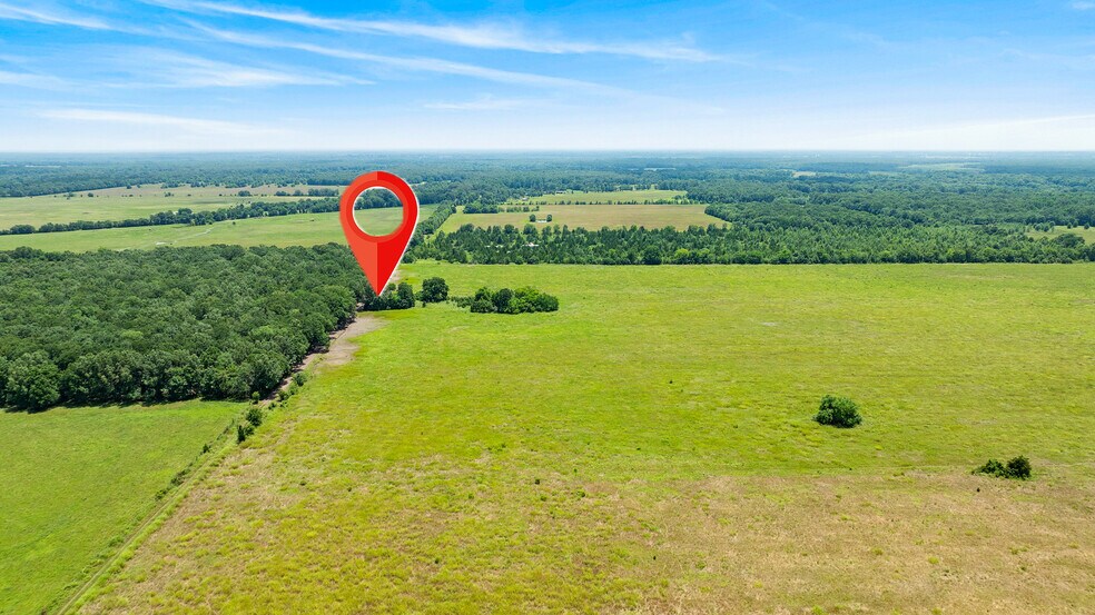 More Photos Of 449 County Road 1357, Clarksville Land For Sale