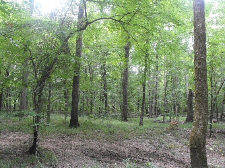 More Photos Of NOBLIN BRIDGE RD, Pelahatchie Land For Sale