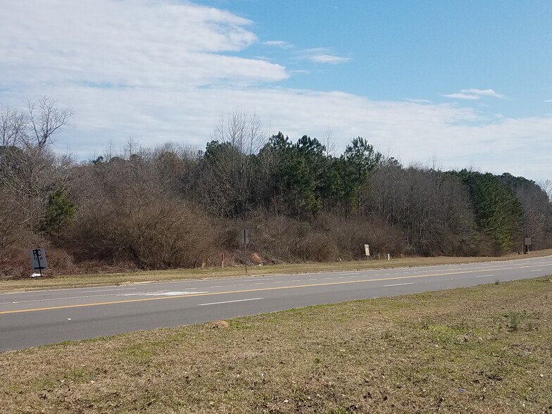 Primary Photo Of Hwy 31 South @ Kevin Lane, Clanton Land For Sale