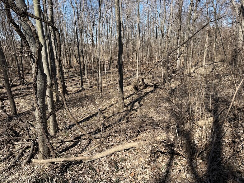 More Photos Of 000 State Route 156, Valmeyer Land For Sale
