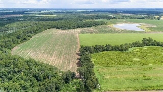 More Photos Of Co Rd 32, Foley Land For Sale
