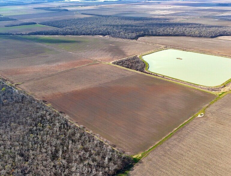 More Photos Of Nipps Wilkerson 280, Humnoke Land For Sale