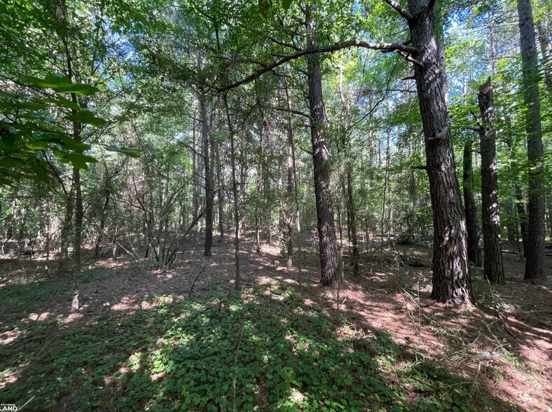 More Photos Of 0 Highway 83 North, Jefferson Land For Sale