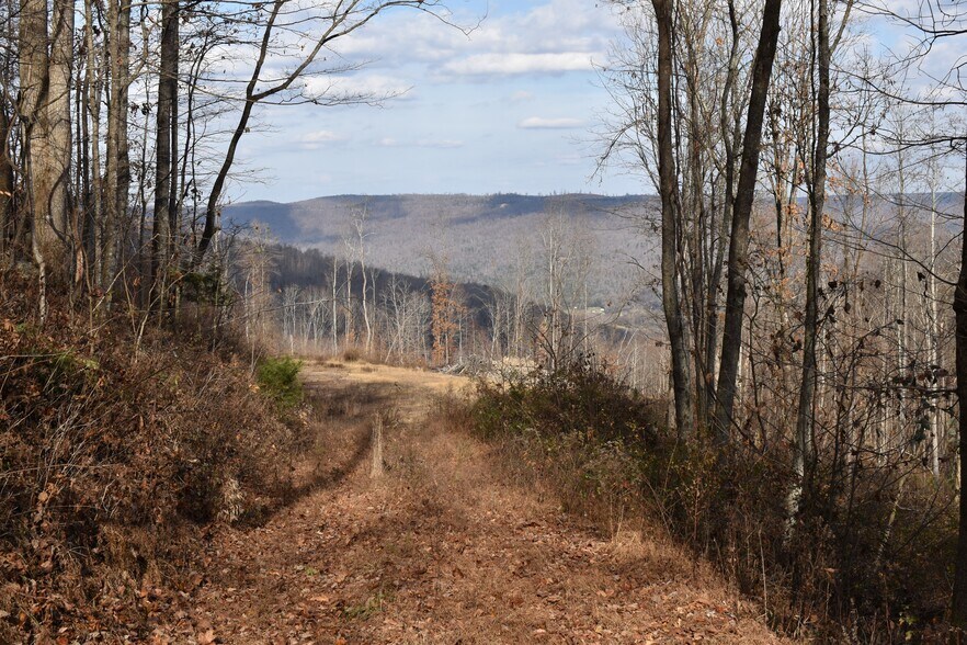 More Photos Of 126 Bolton Point Rd, South Pittsburg Land For Sale