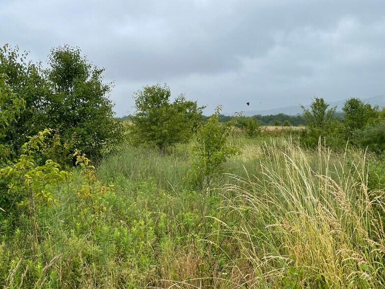 Primary Photo Of 1214 Clearview Rd, Coplay Land For Sale