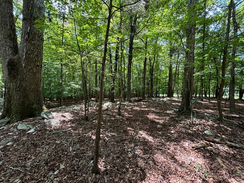 More Photos Of 1525 Tallyho Trl, Chapel Hill Land For Sale