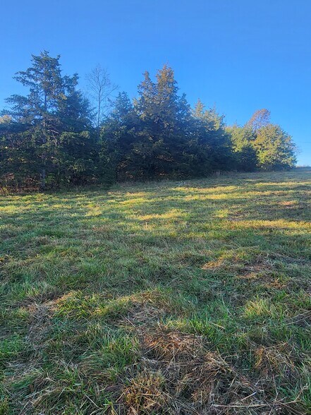 More Photos Of County Road 197 (5+/- Acres) Tract 3, Williamsburg Land For Sale