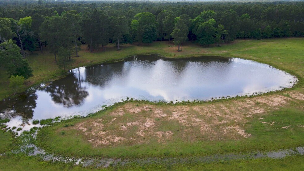 Primary Photo Of 26250B Riley Road, Waller Land For Sale