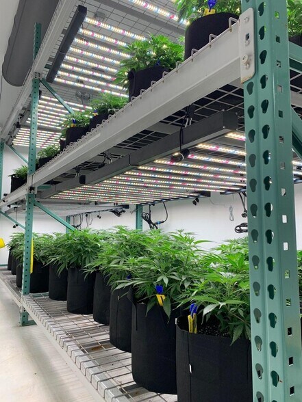 More Photos Of 6810 Sheridan Rd, Vassar Warehouse For Sale