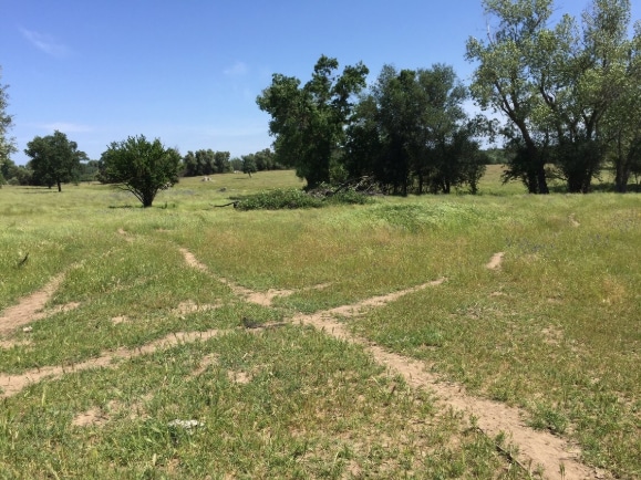 More Photos Of 0 Delmar Loomis CA 95650 ave, Loomis Land For Sale