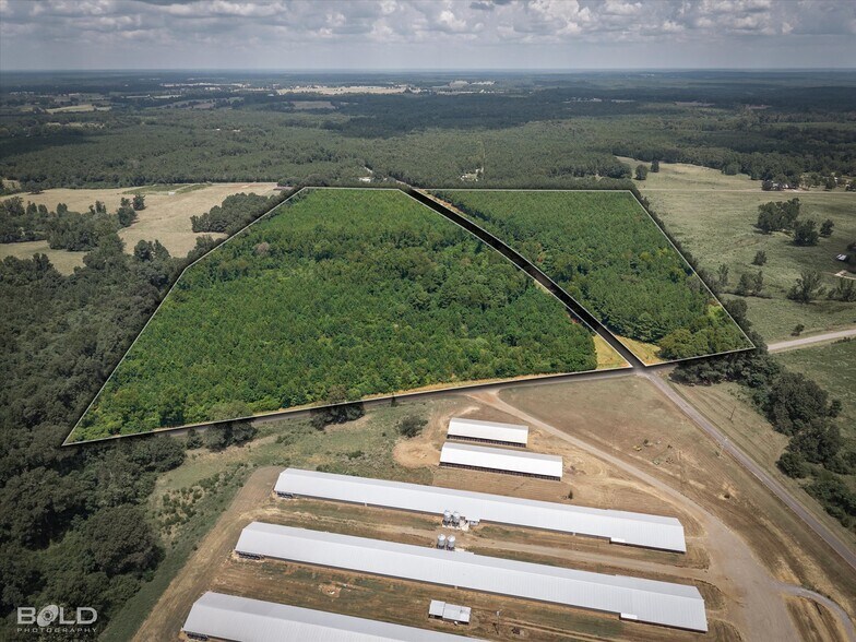 Primary Photo Of 829 Barnes rd, Athens Land For Sale