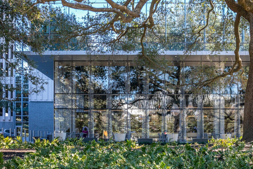 More Photos Of 3737 Buffalo Speedway Ave, Houston Office For Lease