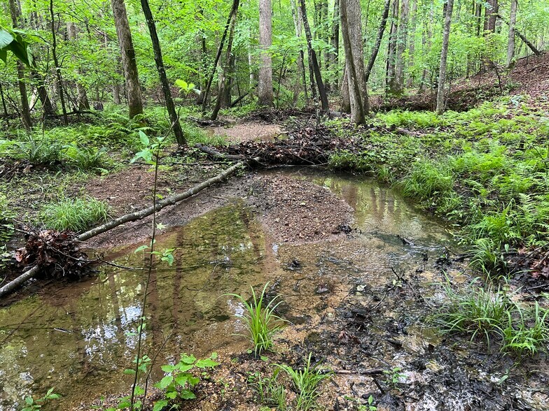 More Photos Of 395 Able rd, Waleska Land For Sale