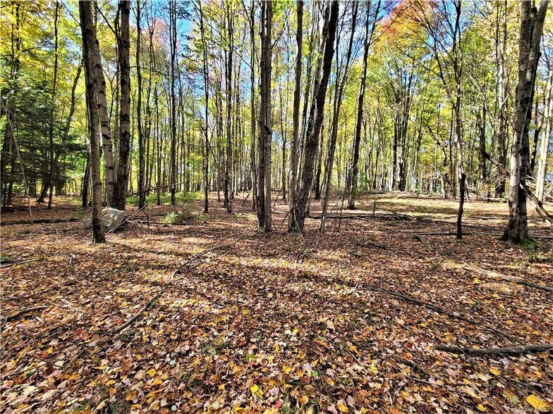 More Photos Of Kaufman Rd, Monticello Land For Sale