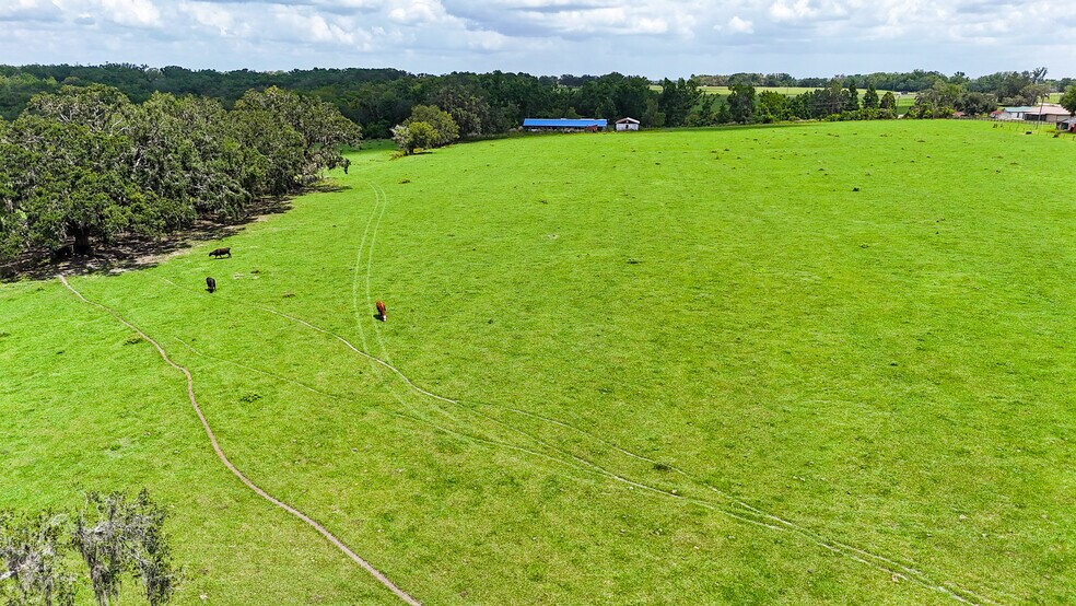 More Photos Of 14409 Curley Rd, Dade City Land For Sale