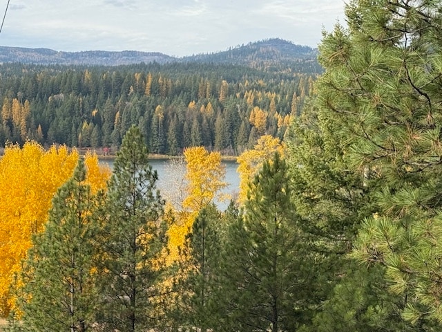 Primary Photo Of TBD Loch Mira Heights Road, Cocolalla Land For Sale