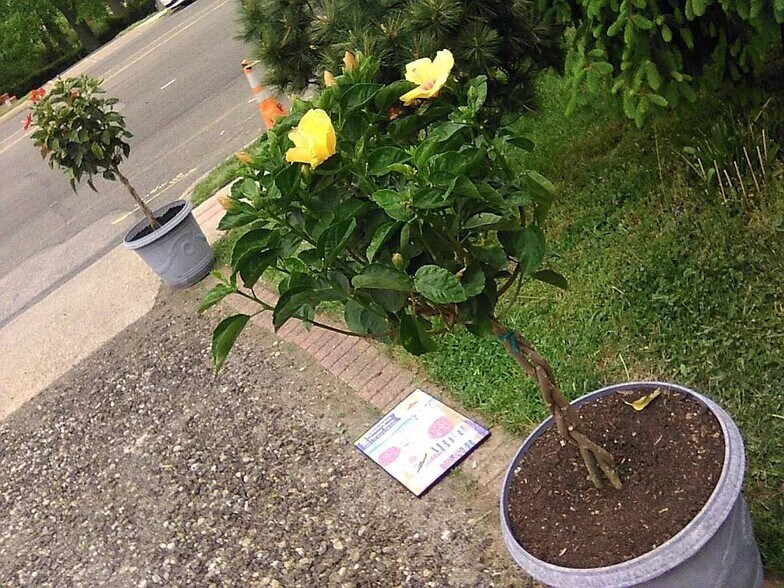 More Photos Of 2038 Grant Ave, Philadelphia Specialty For Sale