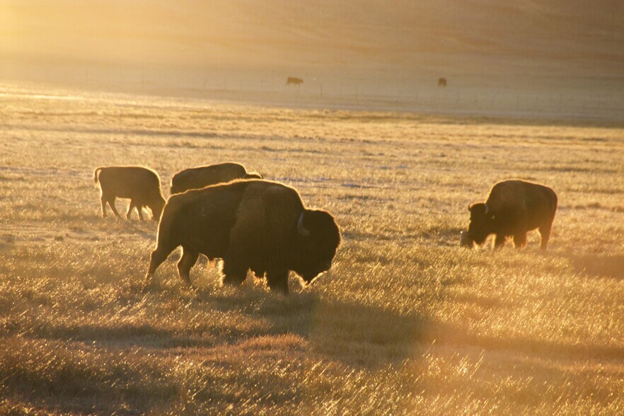 More Photos Of County Road 59, Hartsel Land For Sale