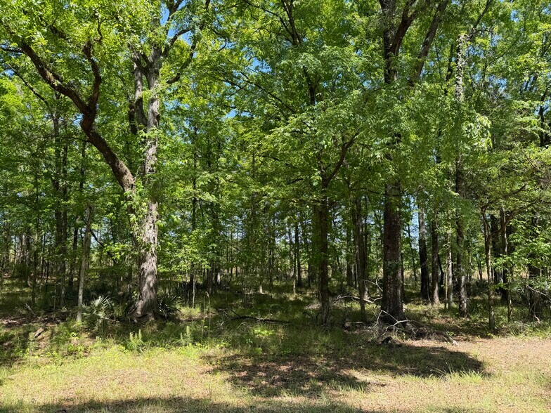 More Photos Of Hidden Harbor Road road, Lincolnton Land For Sale