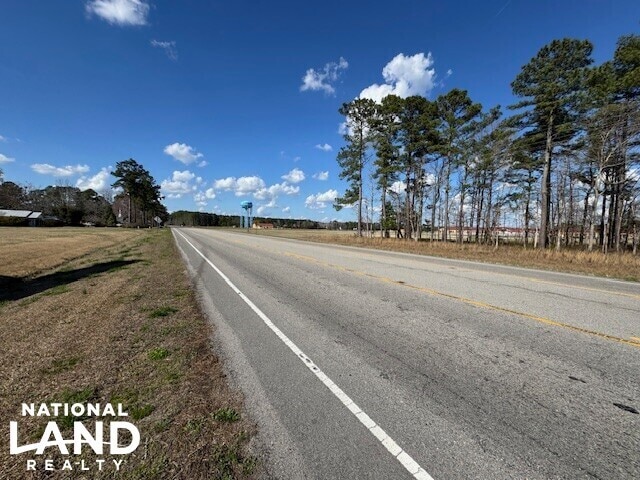 More Photos Of Hwy 421 S. Malpass Corner, Burgaw Land For Sale