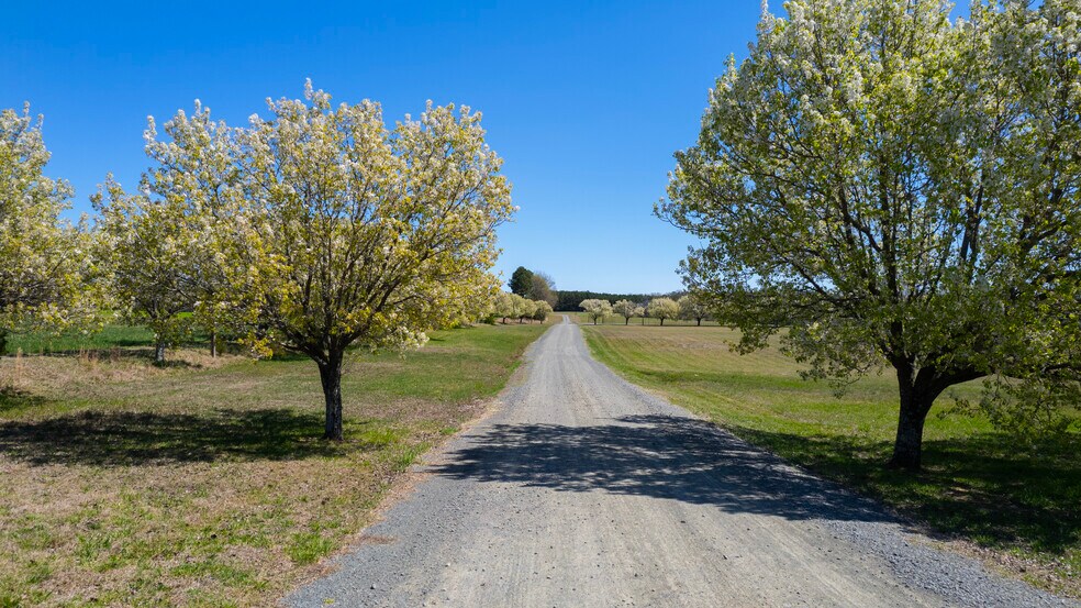 More Photos Of 3200 Bliss Trail, Stem Lodge Meeting Hall For Sale