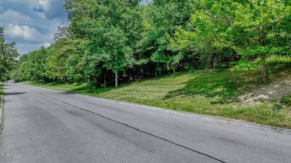 More Photos Of 000 Fordtown Rd, Kingsport Land For Sale