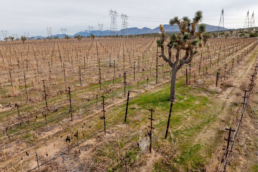 More Photos Of Fort Tejon Rd, Littlerock Land For Sale