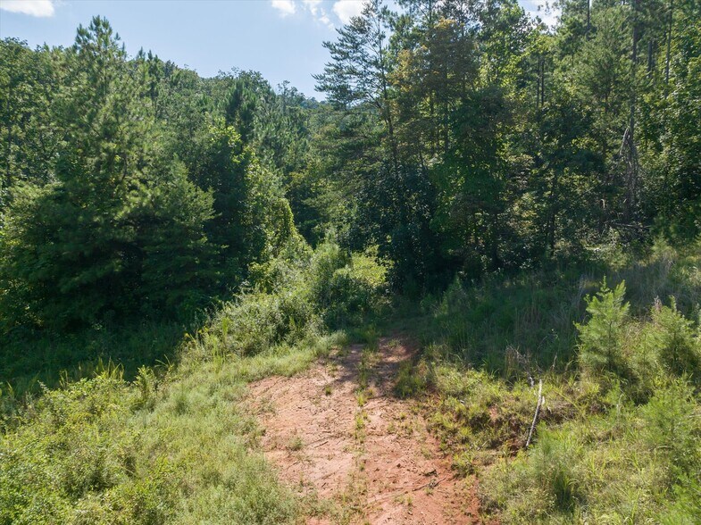 More Photos Of 823 Silver Creek Rd, Mill Spring Land For Sale