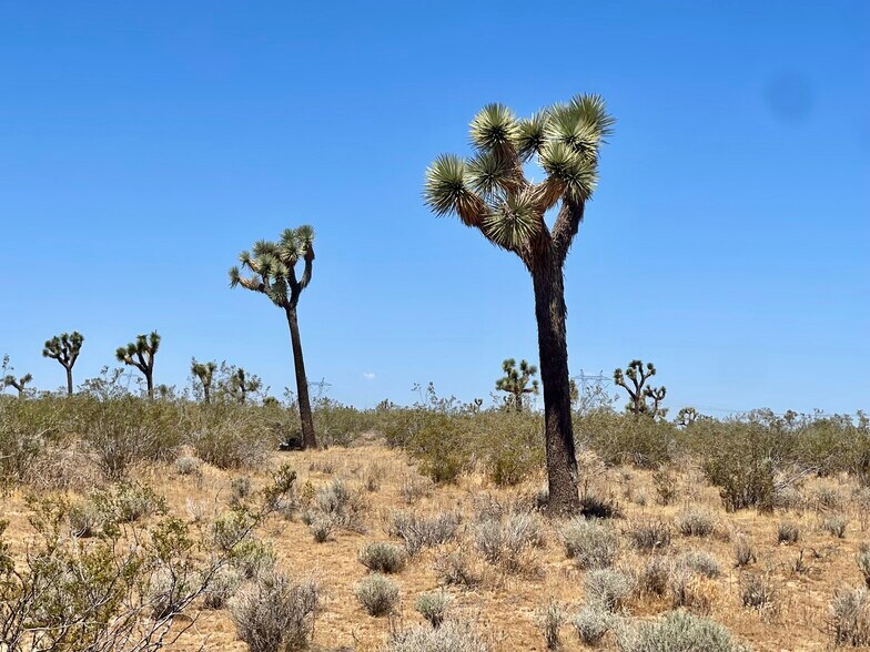 More Photos Of Nevada Rd @ South St., Phelan Land For Sale