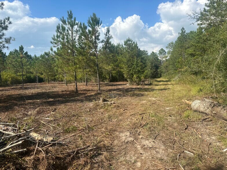 More Photos Of John Hill Blvd & US 49, Gulfport Land For Sale