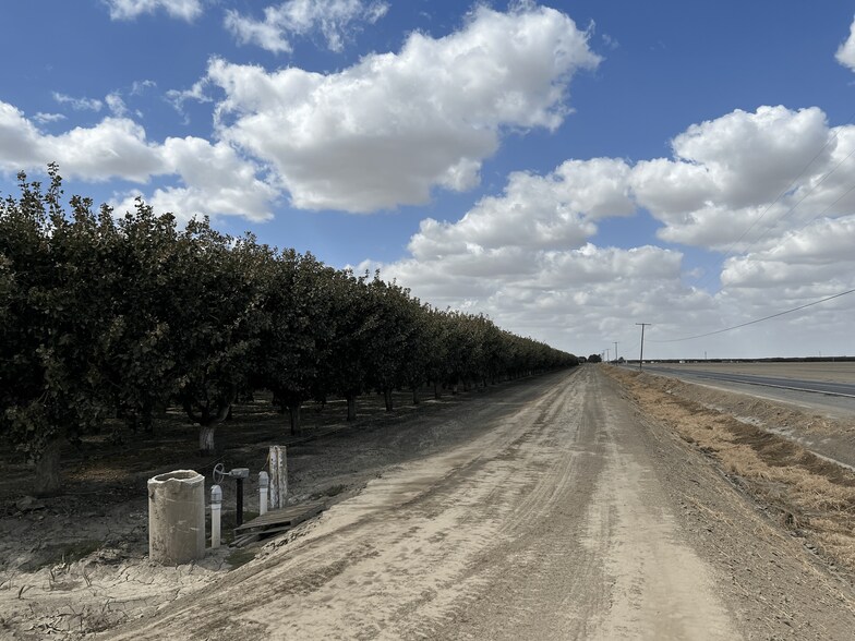 More Photos Of +/-154 Acre Pistachio Orchard - Idaho ave, Hanford Land For Sale