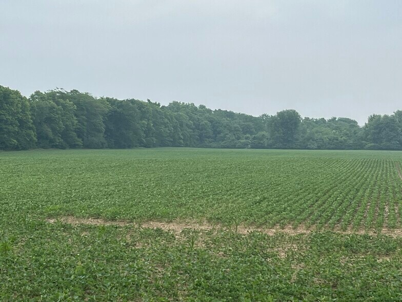 More Photos Of 2051 S SR 9, Greenfield Land For Sale