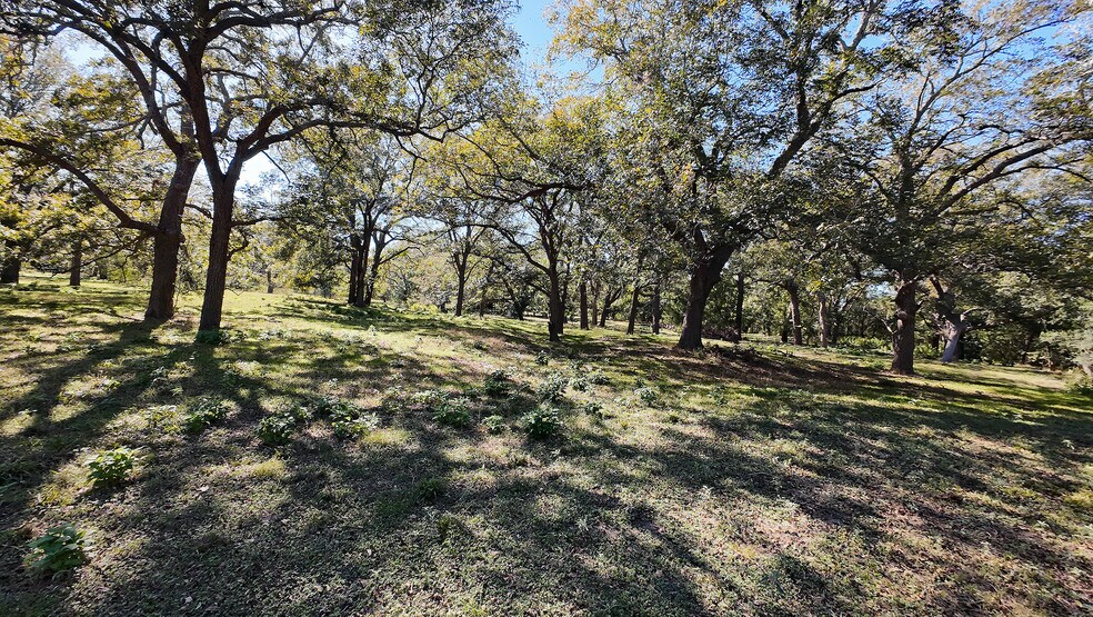More Photos Of 10485 FM 466, Seguin Land For Sale