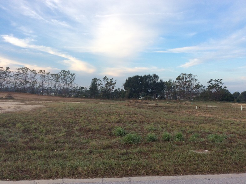 More Photos Of 1655 Nightingale Ln, Tavares Land For Sale