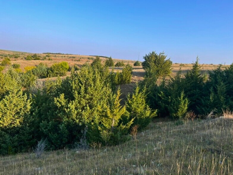 More Photos Of TBD Highway 1804, Pierre Land For Sale