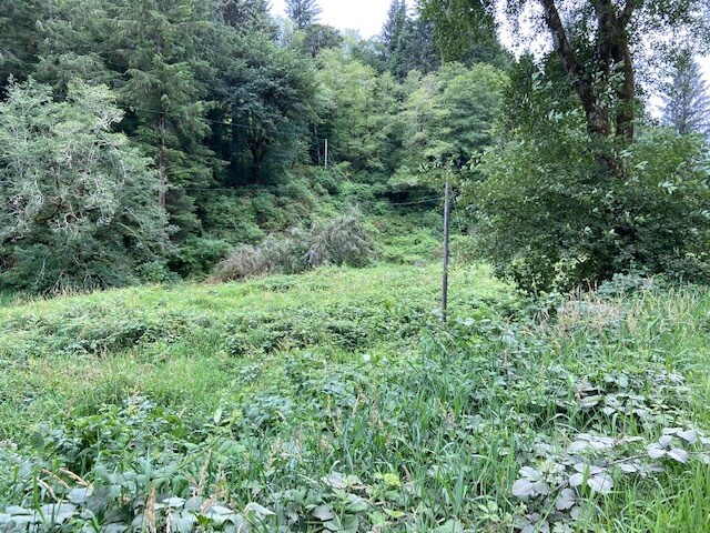 More Photos Of TL 203 Beaver Creek, Seal Rock Land For Sale