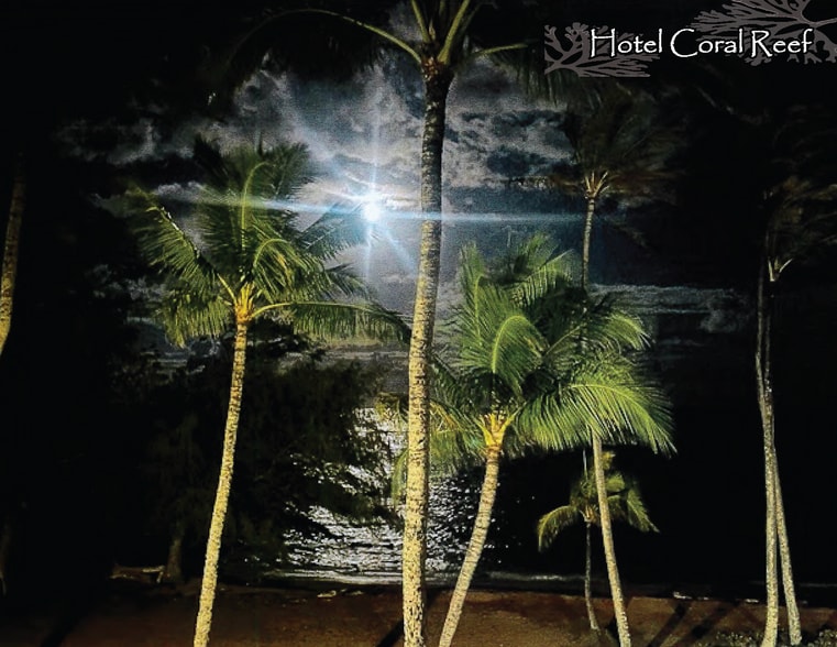 More Photos Of 4-1516 Kuhio Hwy, Kapaa Hotel For Sale