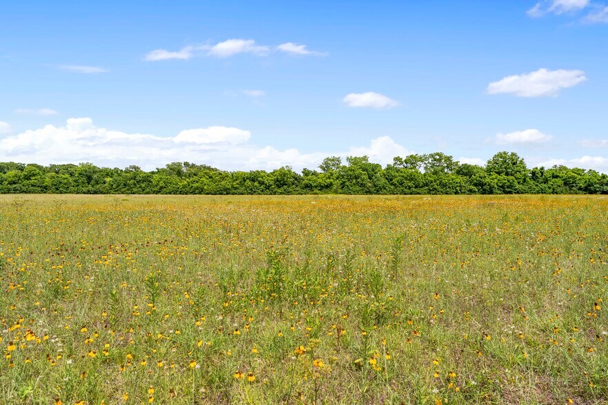 More Photos Of 10840 FM 442, Boling Land For Sale