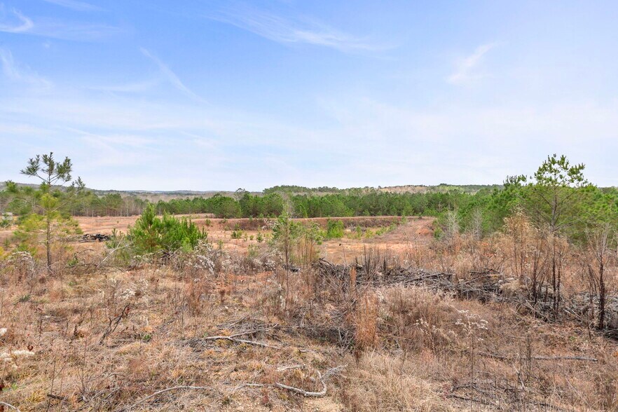 More Photos Of 16.31+/- AC Franklin Parkway Franklin GA 30217, Franklin Land For Sale