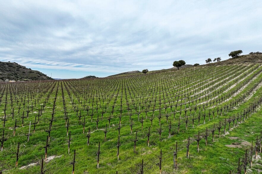 More Photos Of 7903 Cat Canyon rd, Los Alamos Land For Sale