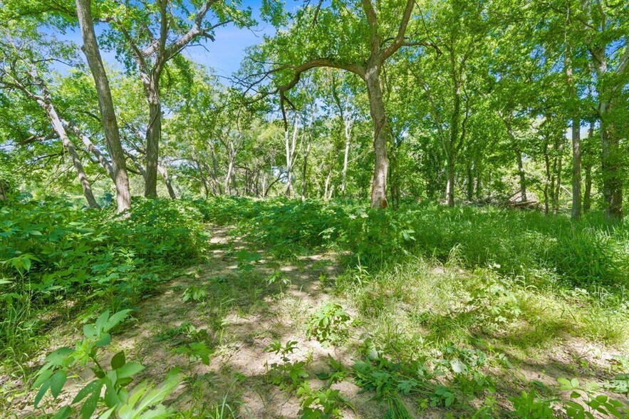 More Photos Of 665 SH 230 Loop, Smithville Land For Sale