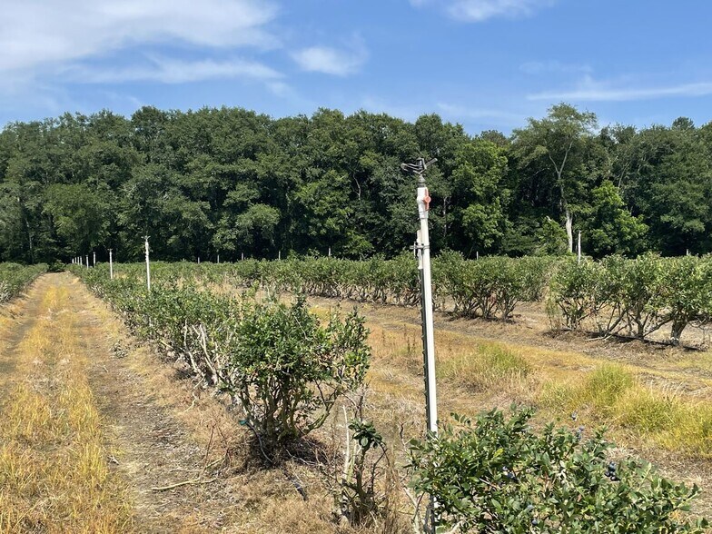 More Photos Of Harmony Road, Meigs Land For Sale