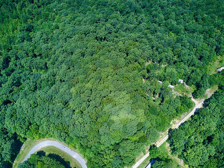 More Photos Of 2 W Off Keel Hollow Ln, Erin Land For Sale